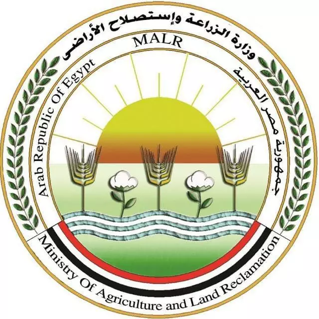 B304d68df95863eefabb95c2d5d51688