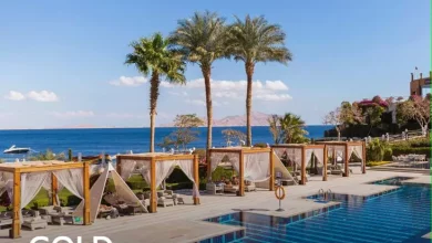 B4f1615e0a172023d2c18cba04bb63a3