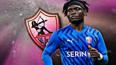 B72e9176974a3de31483ce4d4ef9d3cd