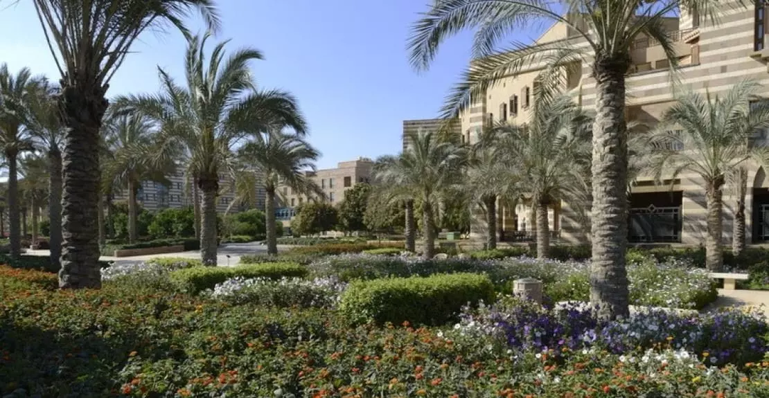 Cb2e642e1ca86401a3fa45416f835c28