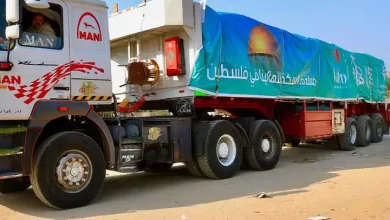 D1061812c9d02e289fb03d1b0e21babc