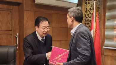 E3b55671713d385be95e3d7c5338fd82