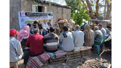 Ec2c24ea3f1412a343f818f04be567cf