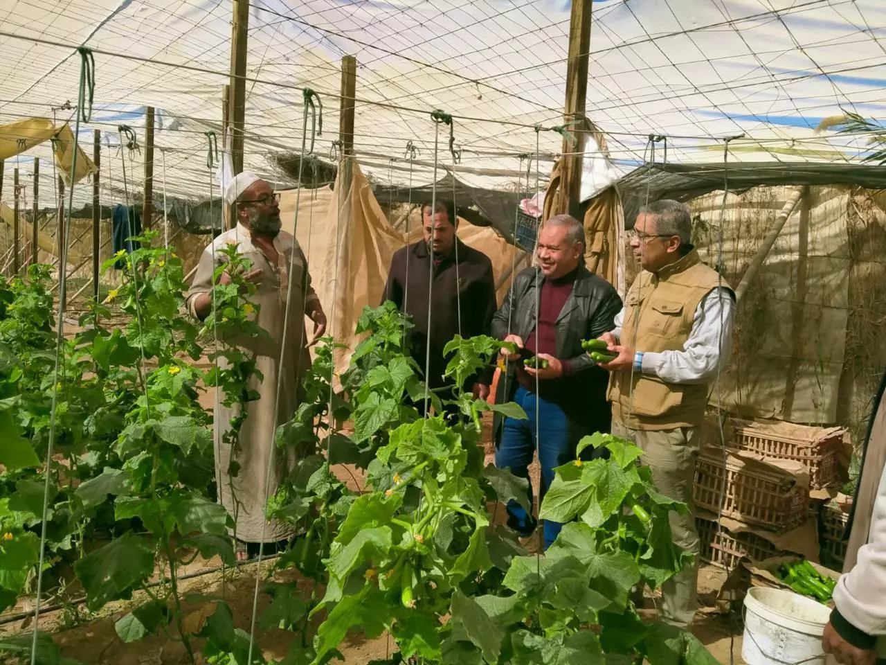 Edabbb0a613eab654fe9cb38e4e3fedd