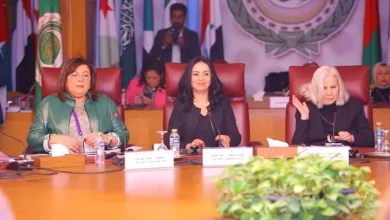 F12fe5a951a7e511c40de575801edefb