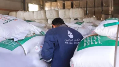 033d8087c5d1d002e48e0393671b0eba