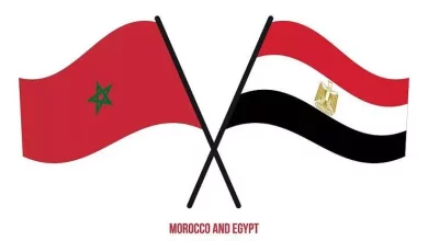 9bc8a8ab8f5ae4b6ca791906ecd3c01e