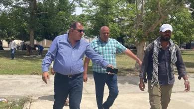 0031e664421efb3b4f487c20db05abca