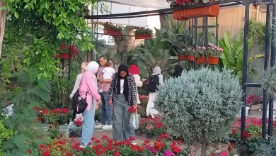 0b6f0bf7d19bd21443ad9372fa38338a