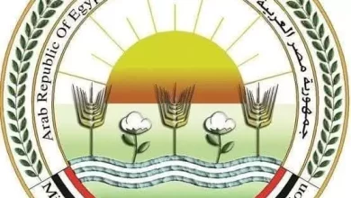 3113556cf31ad537eee49ec2833176c1