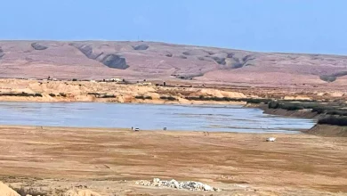 Aa40b8eed277bf1966a61084aac3dd2e