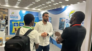 4aaf90edadc4e9f5fda6f4bb56dd1818