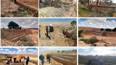 B118566fea4d18566cbd7d883bcd59fa