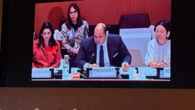 C10318496d1199d0c43507a9a763a01a