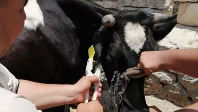 C6c9e13cc6ab58c4701a7215d26605ad