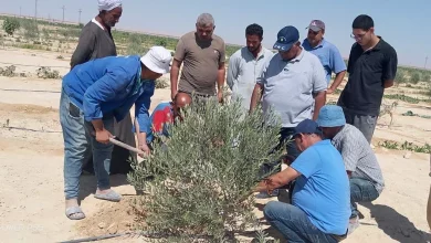 D9dc2f25eb8be5c26f5658af70867257