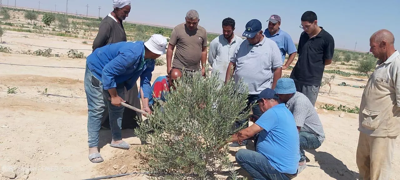 D9dc2f25eb8be5c26f5658af70867257