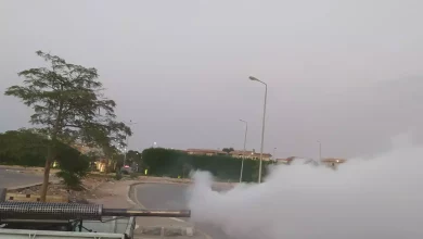 08ff6fe34eb3a9ed6243f2625037a1e5