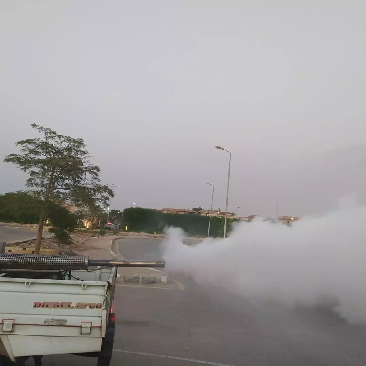 08ff6fe34eb3a9ed6243f2625037a1e5