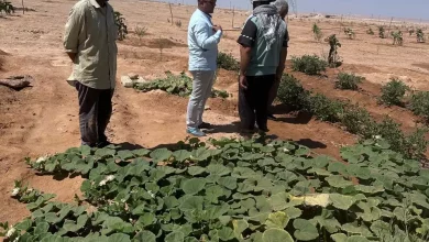 12056d457a2c66bfcbc1ff1eaa4d7b0b