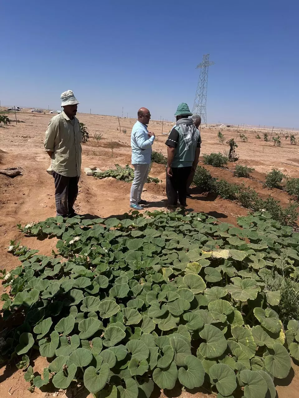 12056d457a2c66bfcbc1ff1eaa4d7b0b