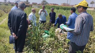 163fb1b138b95d4847b7d5682e729134