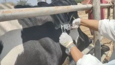 1f20544e47a1827259438a30aed51d10