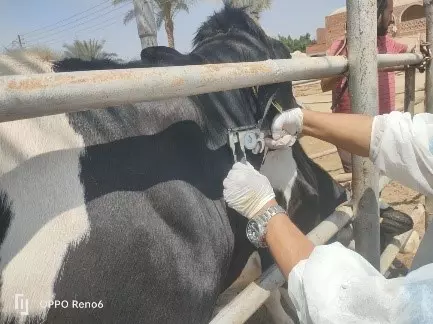 1f20544e47a1827259438a30aed51d10