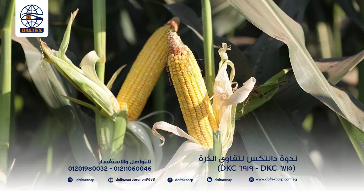 28c4ec582112c28295461a74db69905c