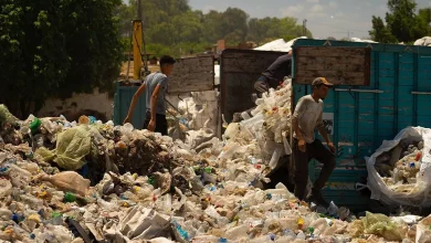 3862233f9a5a0ea5d2cf6683bbee6631