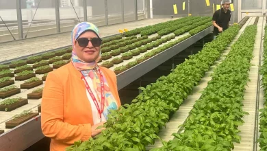 3be843087a8656f53600416762765be9