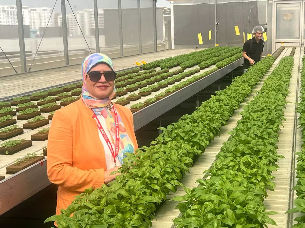 3be843087a8656f53600416762765be9