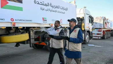 3ee6ff8f092ca57e9cdcc3af91e63426