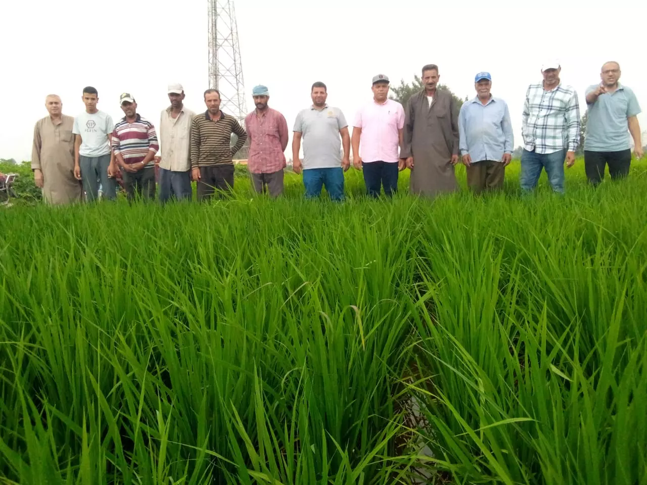 6dd682780495c3048b0e3c3ad4fdf17a