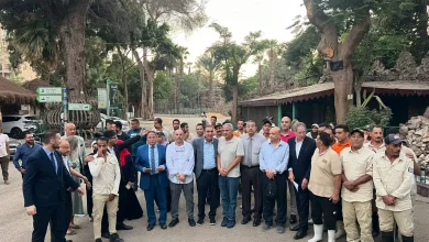 7d1b583da0979539c0a16e782641d3f6