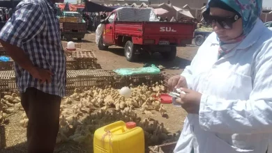 97d312290f2df63cfc704cbc69966d63