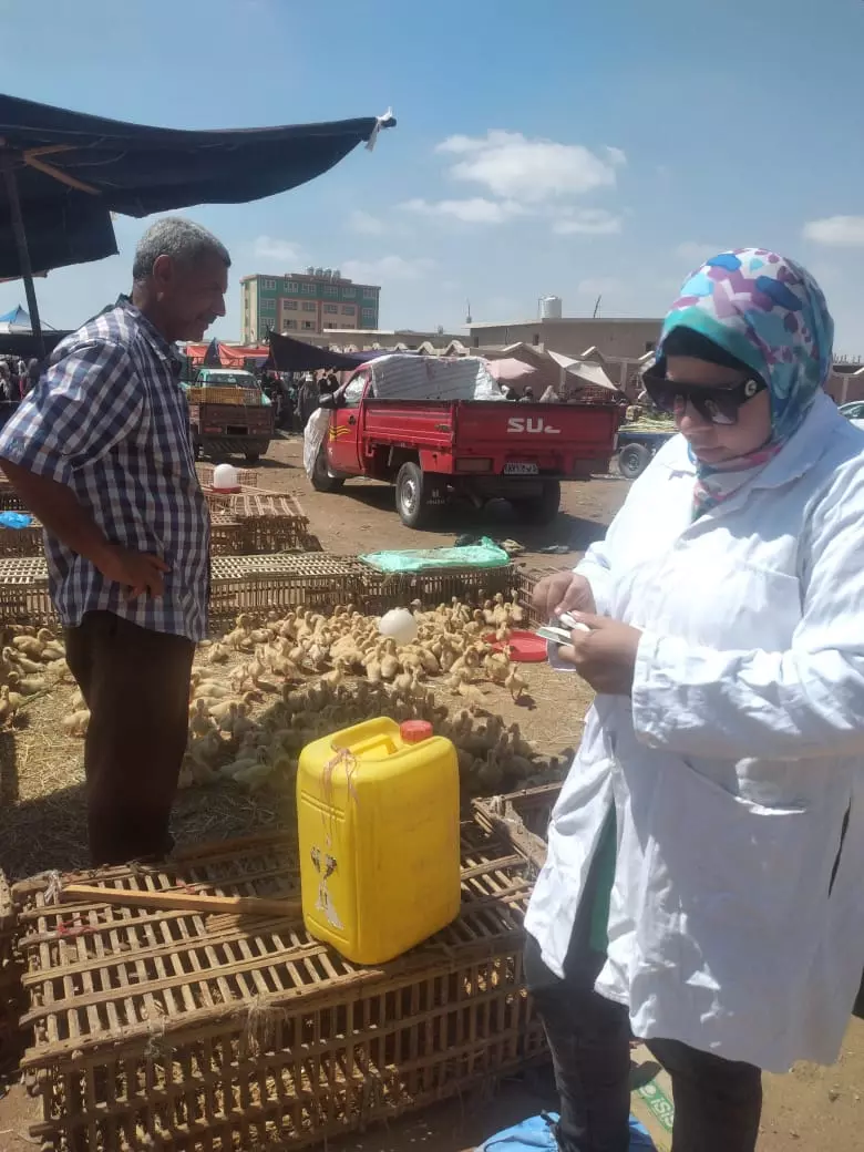 97d312290f2df63cfc704cbc69966d63