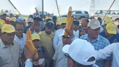 B416ce0f5cb0ce27097f210ed1f03a3c