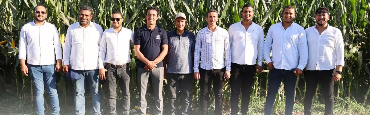 C462ee03608fae3308556544af63f1de