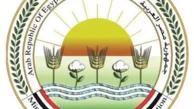 Da6a421ab13c352e16fdf71677a3f705