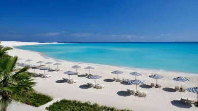 Df87c5aff0041cc0a9987f3b6dfe3a83