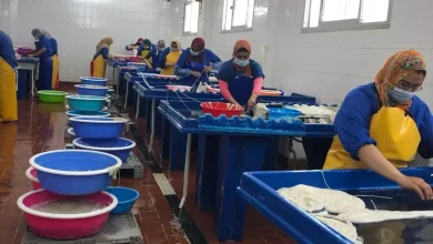 E095f50cc9362a17ba87f1327cfe29f5