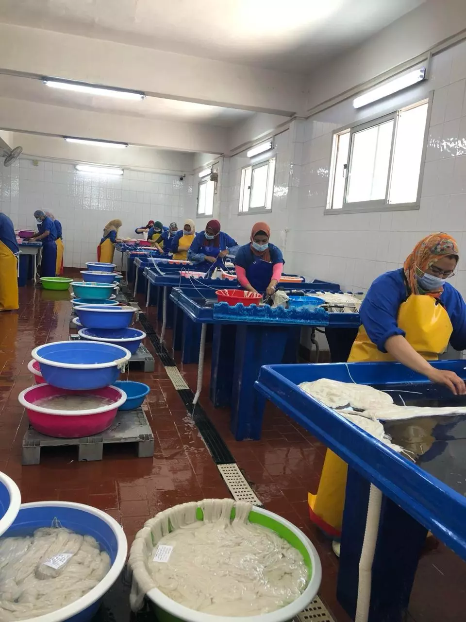 E095f50cc9362a17ba87f1327cfe29f5