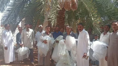 E6aff8e4a36ca0d2104ff8d01d272b95