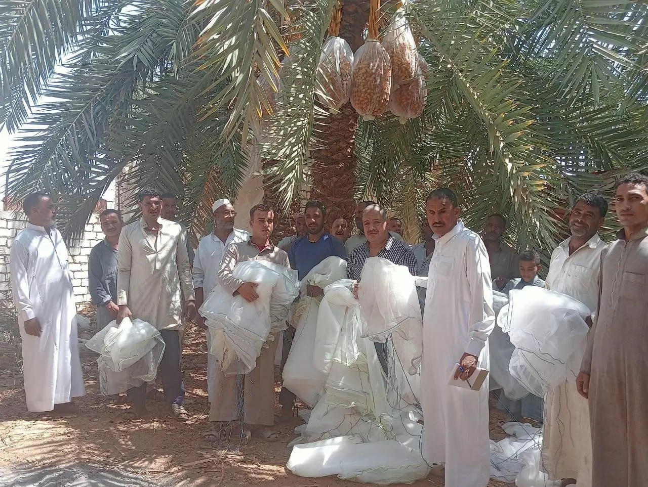 E6aff8e4a36ca0d2104ff8d01d272b95