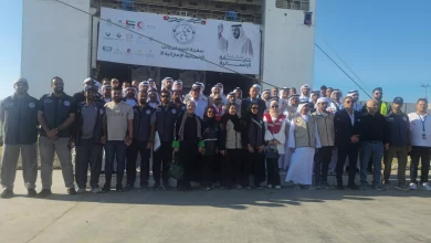 Ec866bdb73877fe5bf61a44bd2e1a89b