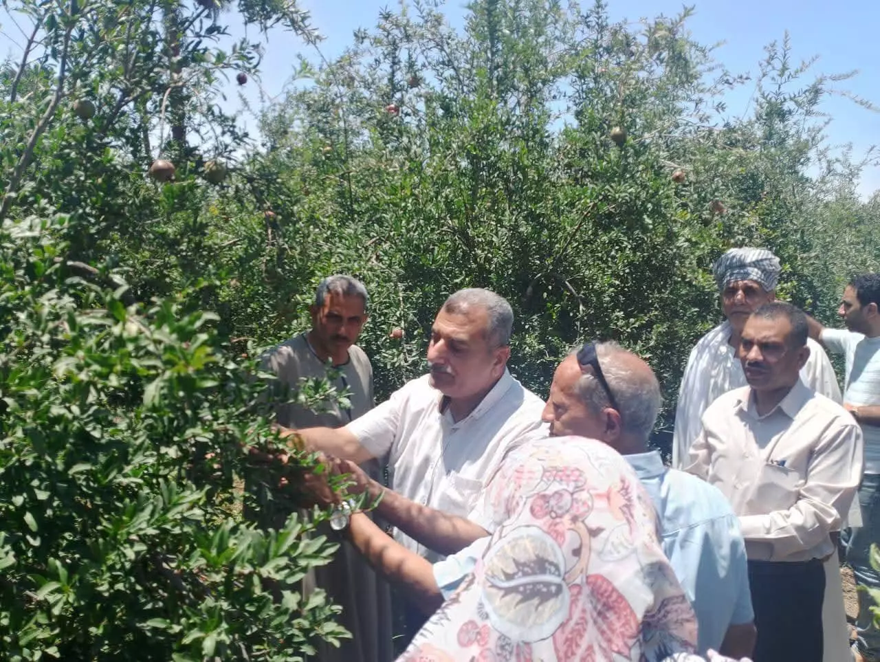 Fbfe49c149d764deafe8f871ec495c79