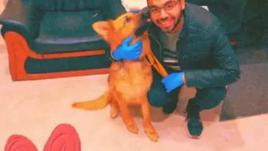 000fd92c5343d0e2c1cfb380b9c483d9