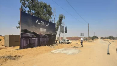 019a793c1b6b0ba9dd70f3bbea5310a1