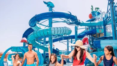 02ea2b119c2ef4308904565eec8e5d1d